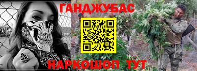 крисы Моздок