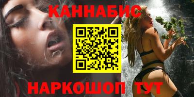 крисы Моздок