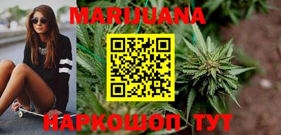 крисы Моздок