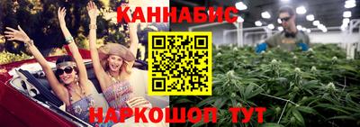 крисы Моздок