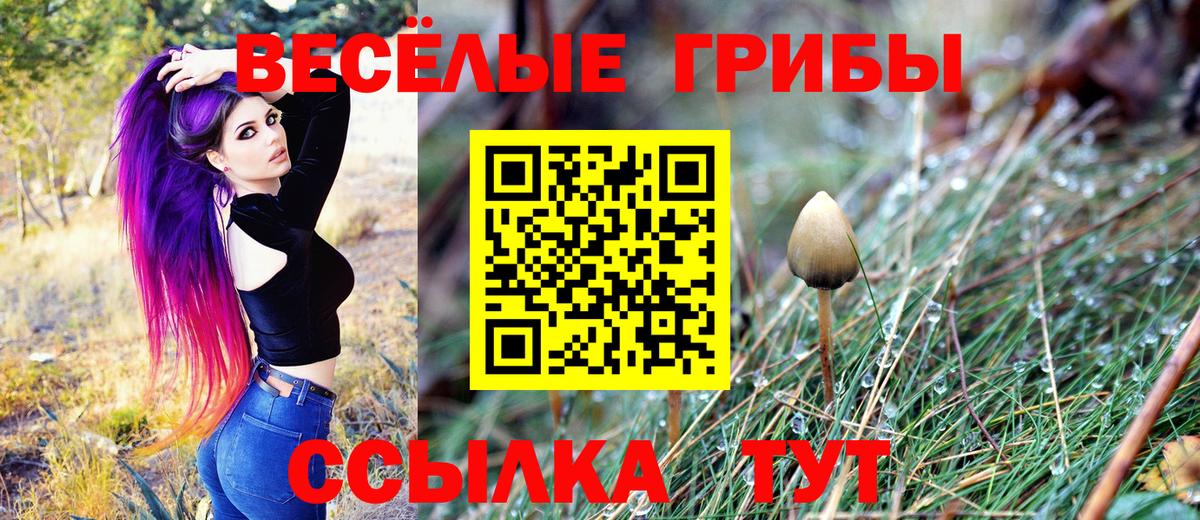 Псилоцибиновые грибы мицелий  цена   Урай  Псилоцибиновые грибы Psilocybine cubensis  Вход с VPN 